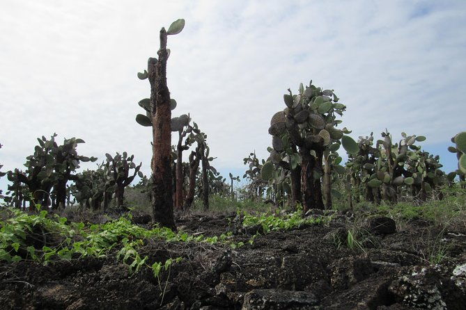 galapagos-ideal-3days