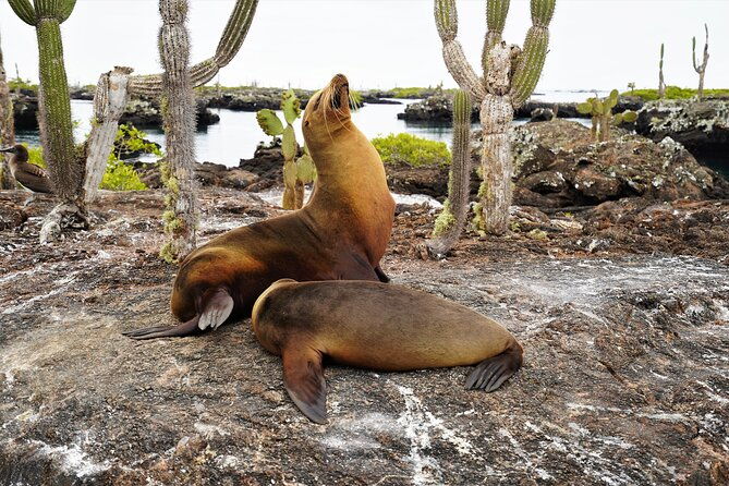 galapagos-multisport-expedition-8-days