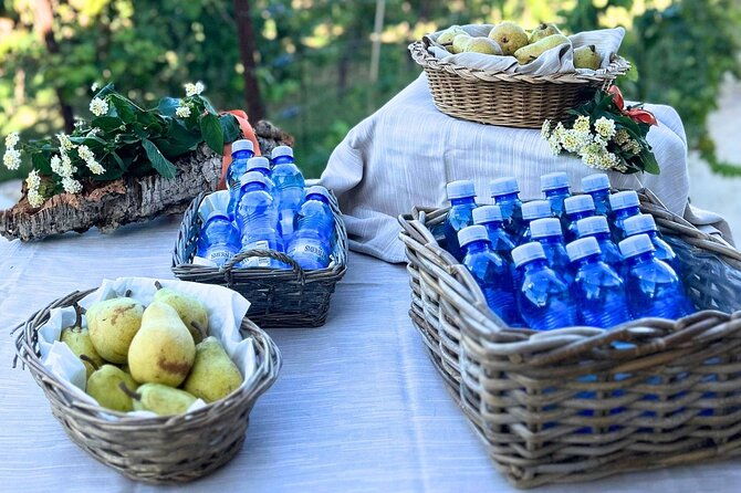 gallura-picnic-in-the-farm-with-animals