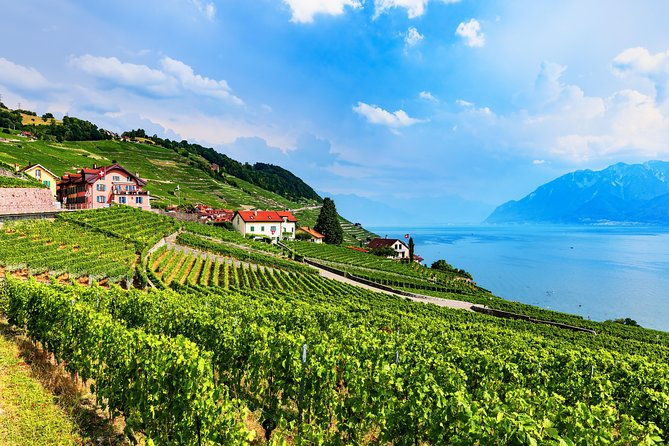 geneva-to-gruyere-private-day-trip-cheese-chocolate-tour