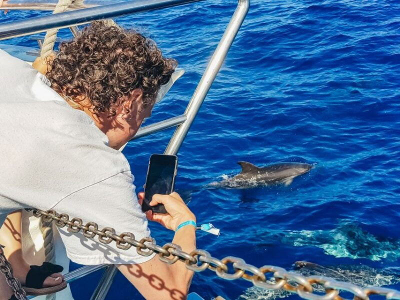 gran-canaria-catamaran-dolphin-watch-cruise-with-snorkeling