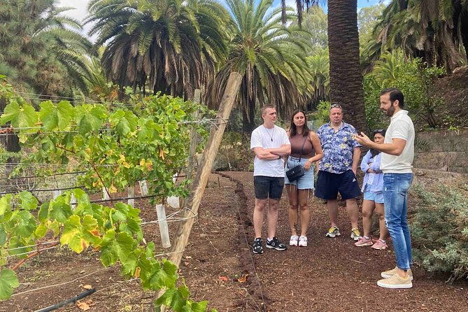 gran-canaria-pocket-wine-experience