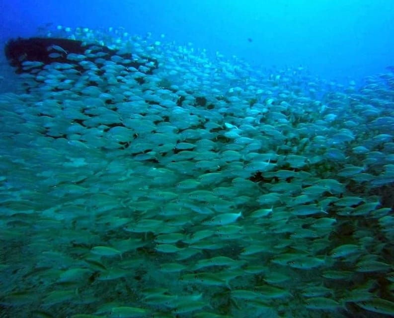 gran-canaria-scuba-diving-for-beginners