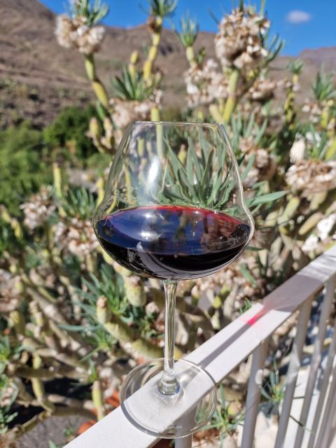 gran-canaria-tasting-wine-local-cheese