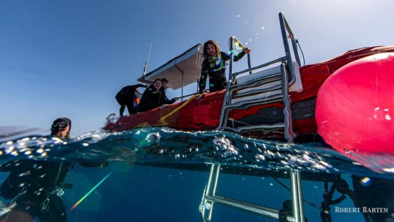 gran-canarialive-an-adventure-and-learn-to-dive-with-expert