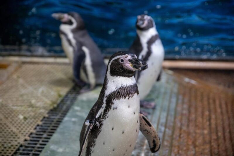 great-plains-zoo