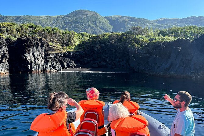 guided-activity-in-the-heart-of-azores-with-whales-and-dolphins