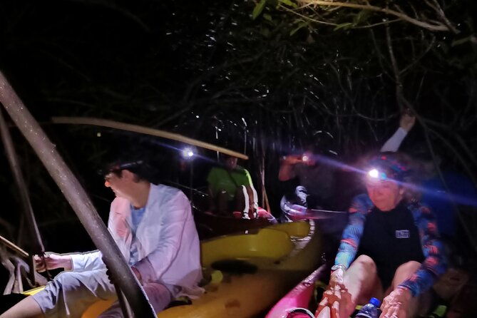 guided-bioluminescence-night-kayaking-adventure-in-belize