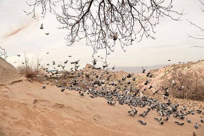 guided-cappadocia-tour-with-luxury-van