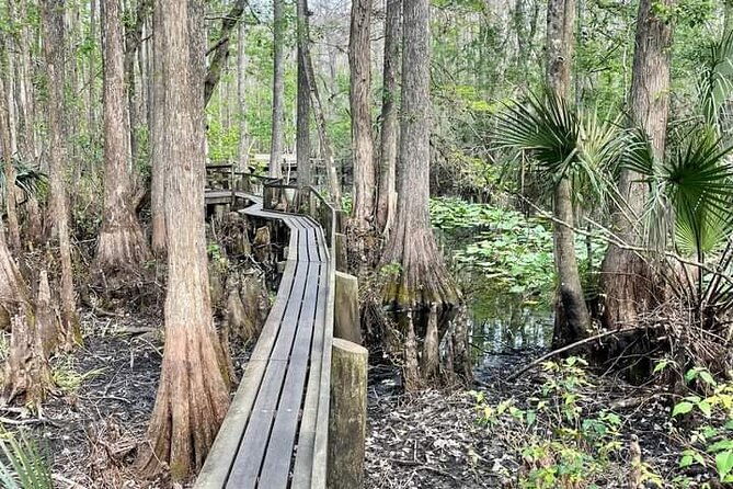 guided-day-hike-through-floridas-wild-backcountry