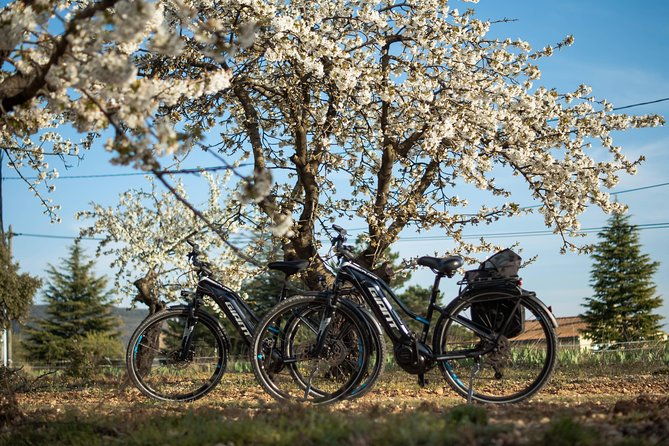 guided-discovery-of-ocher-1-2-day-electric-bike