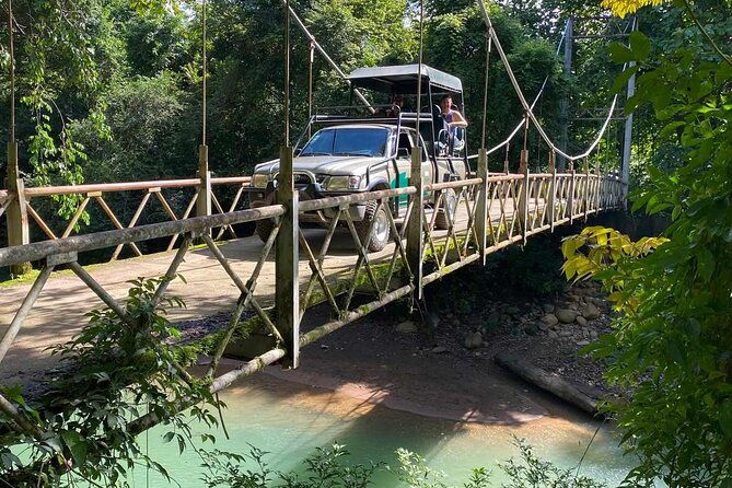 guided-hiking-tour-by-the-mystic-ebano-rainforest-in-costa-rica