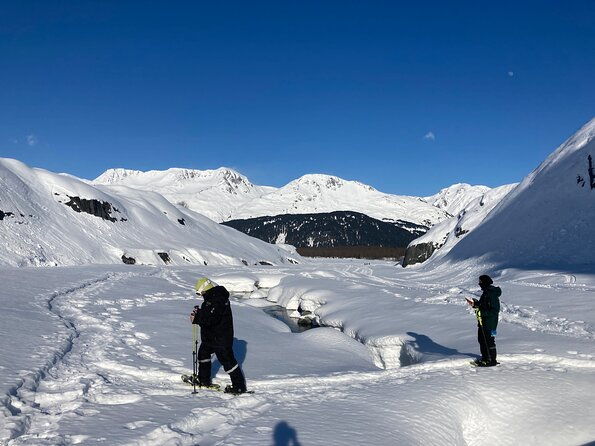 guided-snowshoeing-adventure-in-seward-alaska