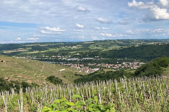 guided-tour-of-the-coteaux-cote-rotie-for-parents-and-children-duos