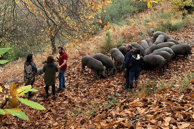 guided-tour-of-the-genal-valley
