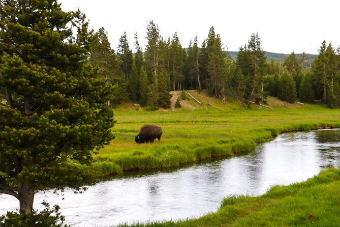 guided-yellowstone-national-park-trip