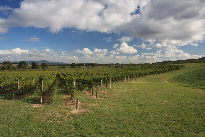 half-day-gramma-wine-tasting-tour-in-iasi