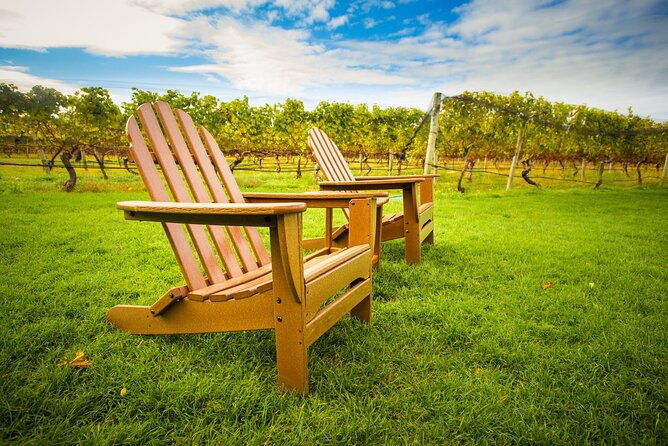 half-day-private-long-island-wine-tour-experience