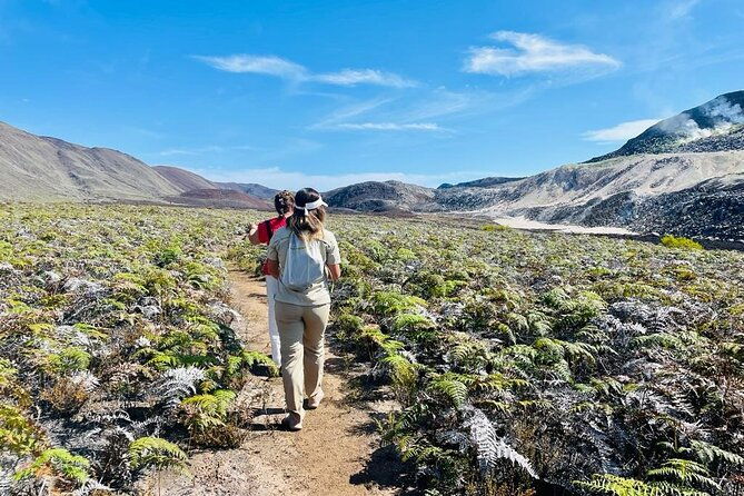 half-day-private-tour-in-sierra-negra-volcanos-sulfur-fumaroles