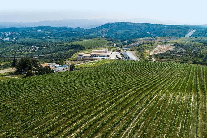 half-day-private-tour-in-two-wineries-and-archanes-from-heraklion