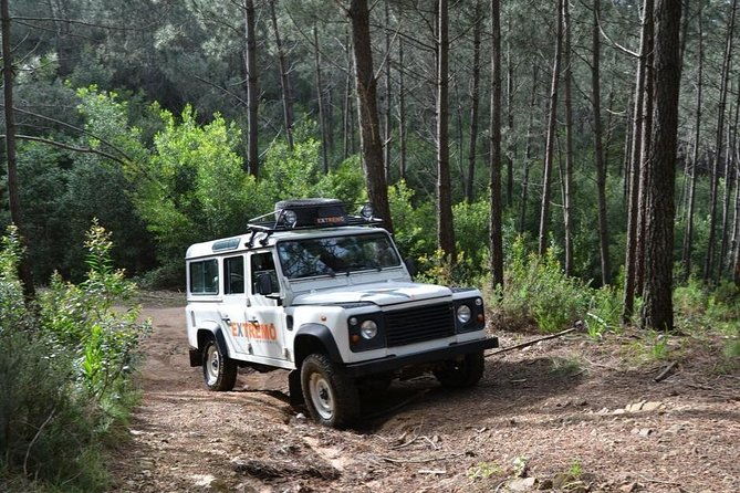 half-day-sintra-jeep-safari