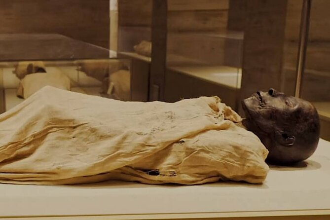 half-day-tour-to-the-mummies-museum-1hour-felucca-nile-ride