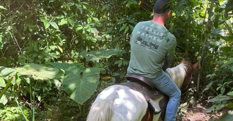 harmony-horse-riding-of-miami