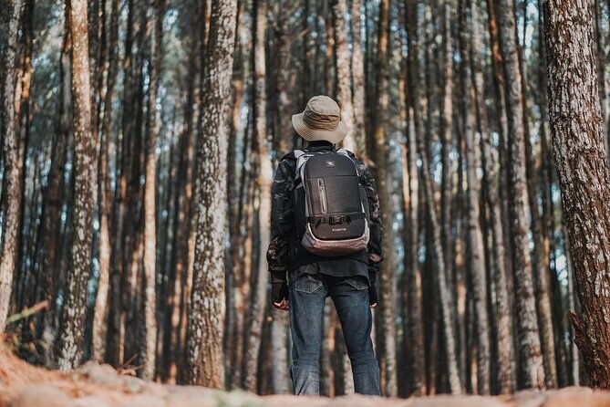 healthy-eco-finca-and-pine-forest-experience