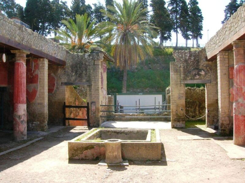 herculaneum-with-an-archaelogical-guide-ticket