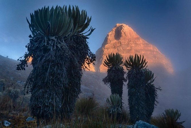 high-mountain-trekking-sierra-nevada-del-cocuy