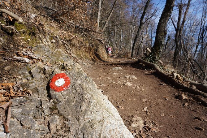 hiking-on-the-edge-of-ljubljana