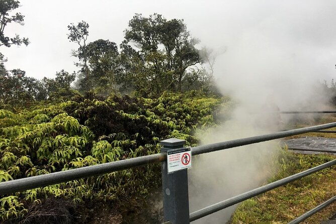 hilo-and-volcano-national-park-tour-a-cruise-ship-excursion-w-pu