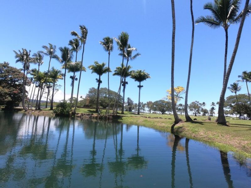 hilo-wailoa-river-to-king-kamehameha-guided-kayaking-tour