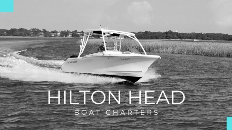 hilton-head-2-hour-private-dolphin-tour