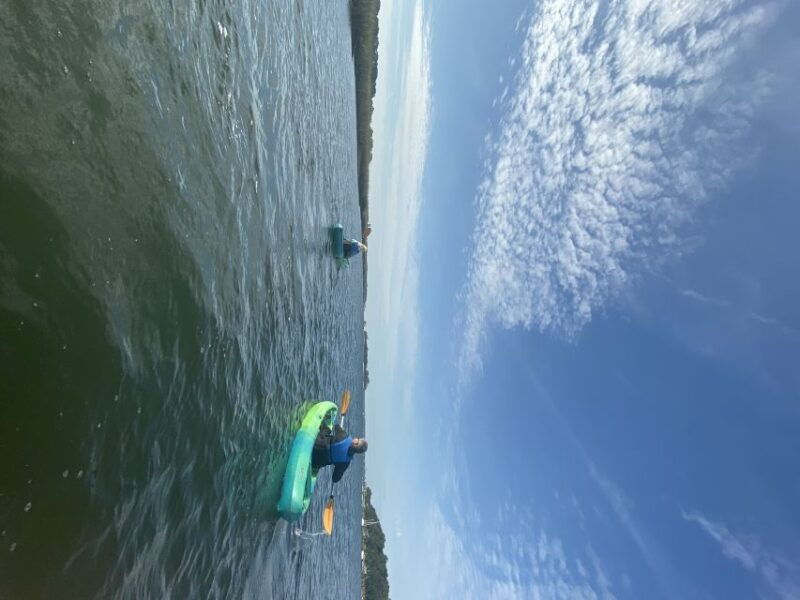 hilton-head-island-1-5-hour-guided-small-group-kayak-tour