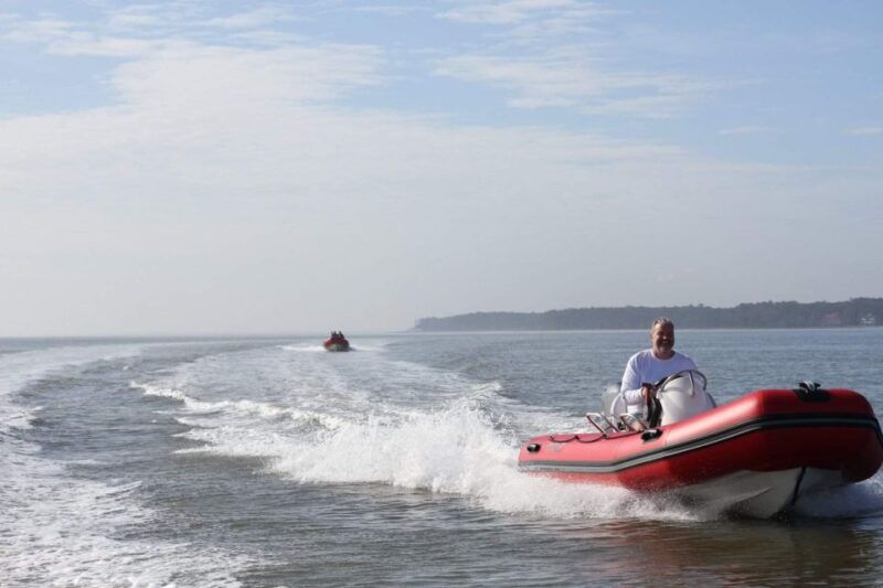 hilton-head-island-mini-boat-dolphin-tour