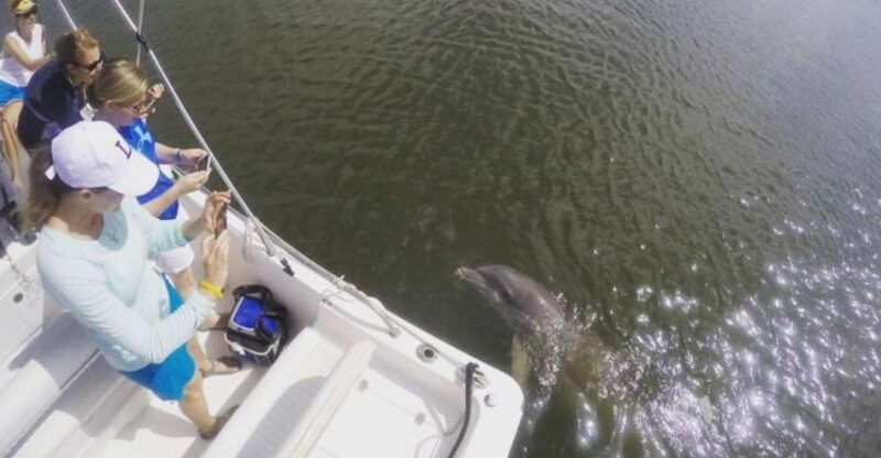 hilton-head-island-private-dolphin-watching-boat-tour