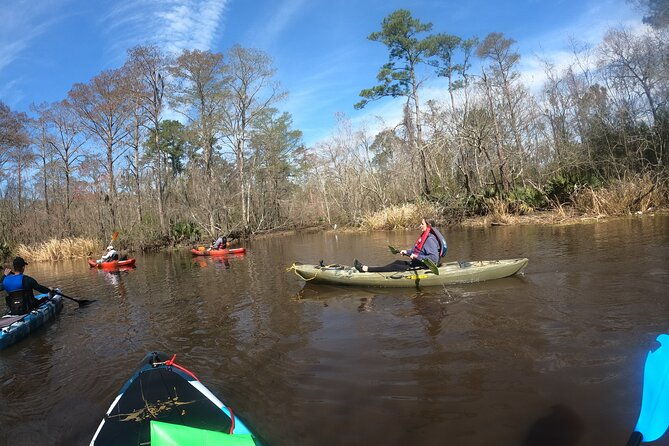 historical-scenic-bayou-swamp-water-trail-kayak-tour