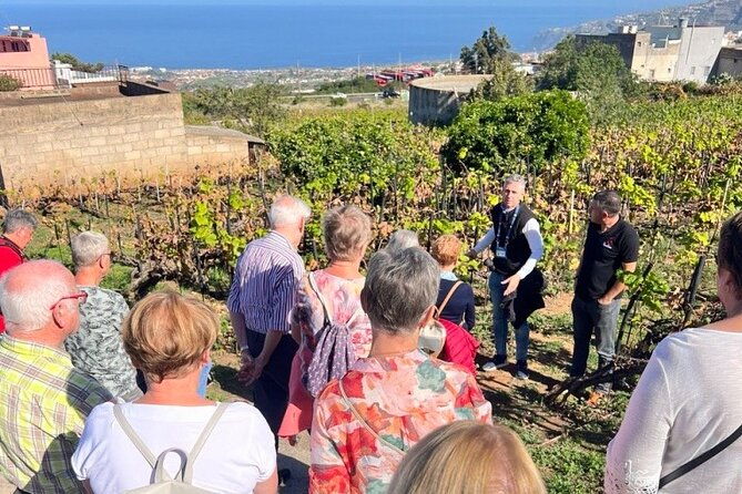 history-and-tradition-tour-of-local-products-of-la-orotava
