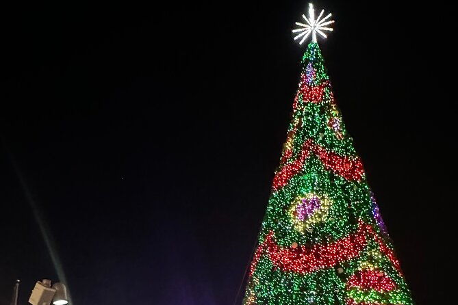 holiday-lights-private-night-bus-tour-of-washington-dc
