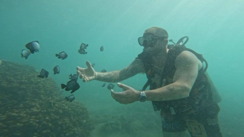 honolulu-beginner-scuba-diving-tour-with-free-videos