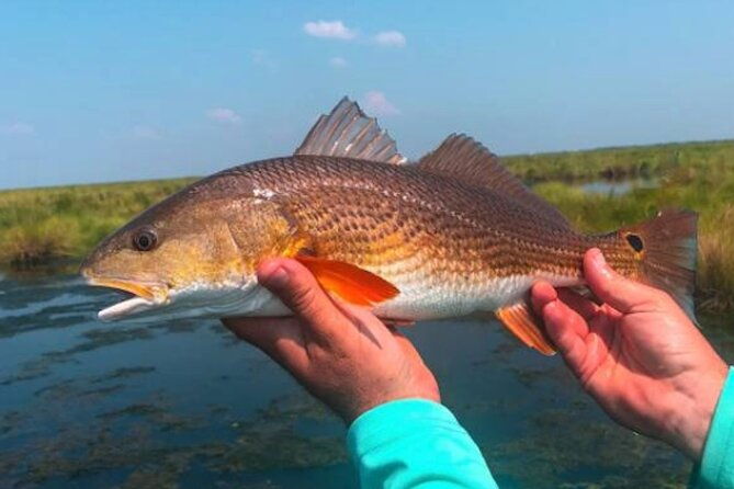 hooked-on-the-bayou-new-orleans-kayak-fishing-trips