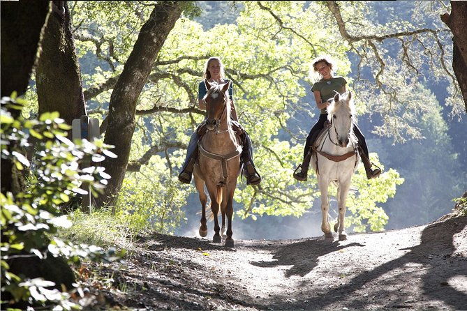 horse-riding-excursion