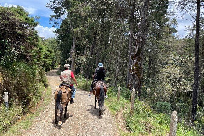 horseback-ride-around-medellins-beautiful-countryside