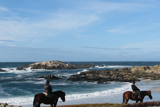 horseback-ride-on-the-beach-alcatraz-tour-in-san-francisco