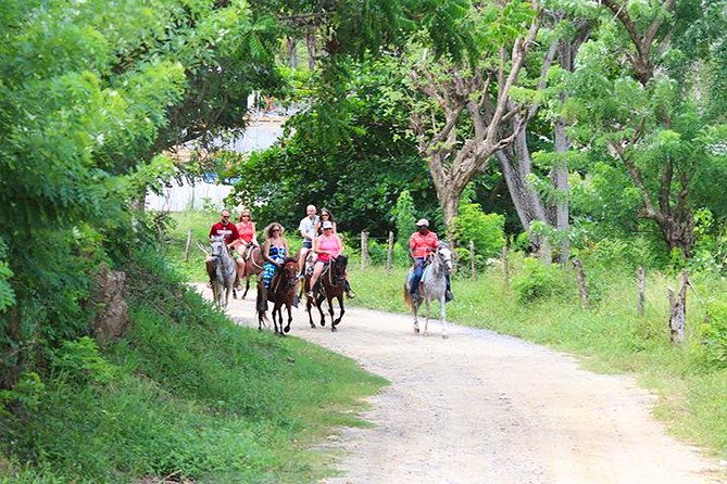 horseback-riding-beach-with-palapa-and-transfer