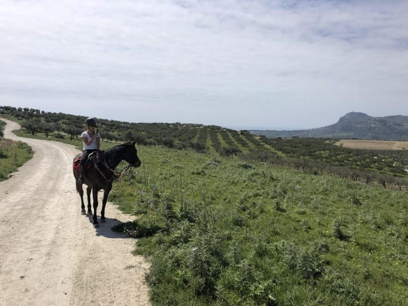 horseback-riding-through-the-olive-groves-of-sciacca