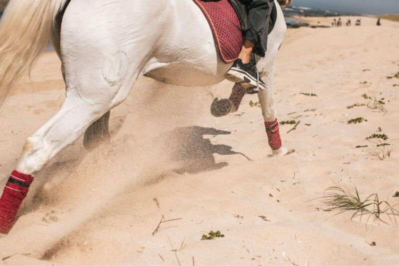 horseback-riding-tour-3
