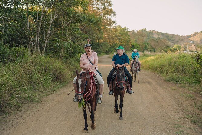 horseback-riding-tour-beach-and-ocean-view