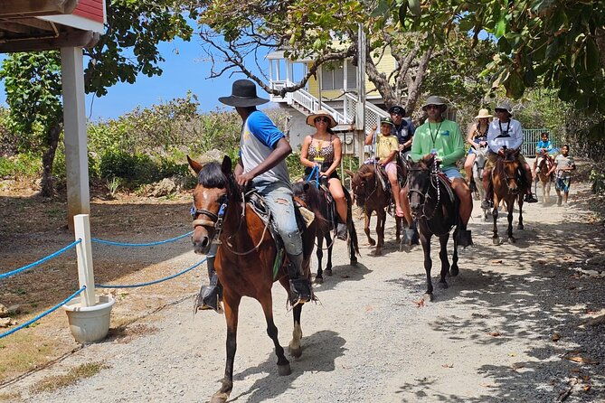 horseback-riding-zipline-and-animal-sanctuary-in-bay-islands